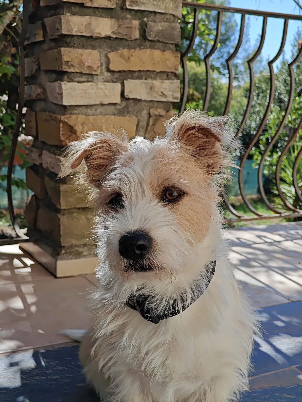 Bobby